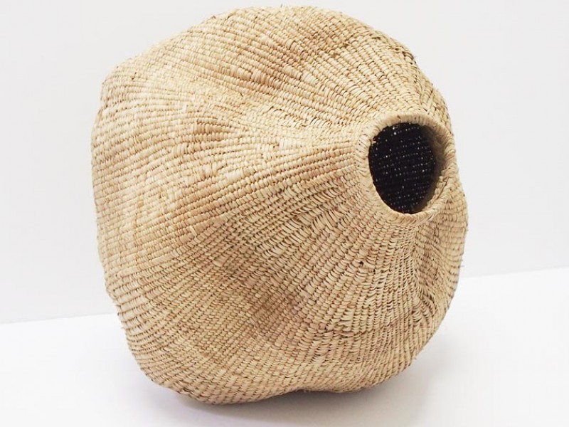 Garlic Gourd 50cm Garlic Gourd 50cm